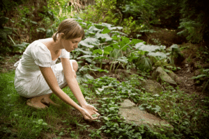 why do we need to protect the countryside