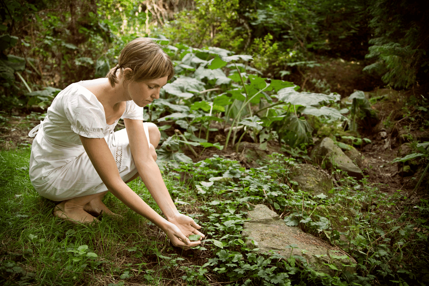 why do we need to protect the countryside