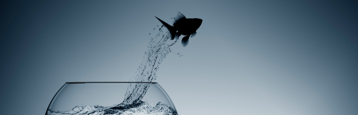 are originality and creativity necessary for success