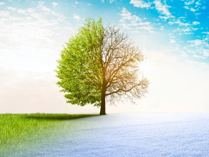 why is adapting to change difficult