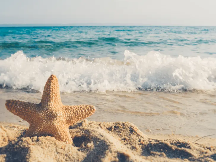 why is the beach relaxing
