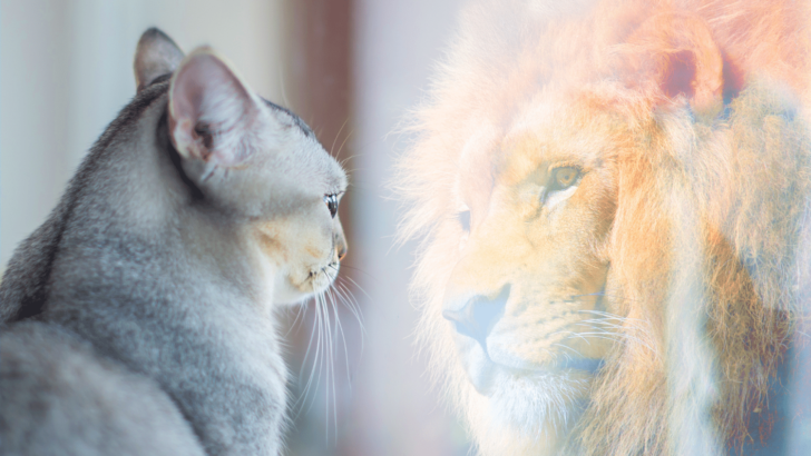 121 Self-Esteem Journal Prompts: Boost Your Confidence and Self-Awareness