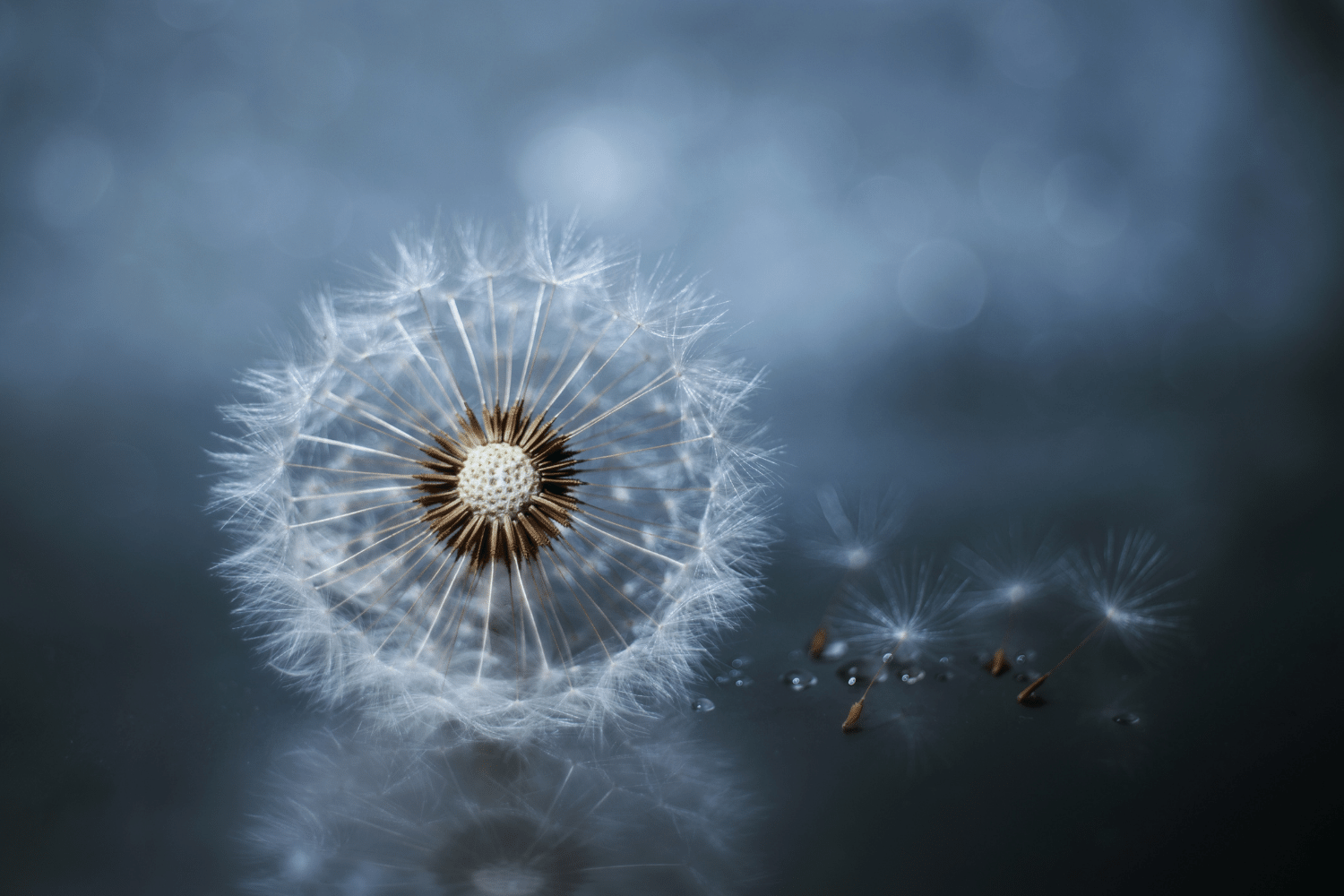 Spiritual Journal Prompts