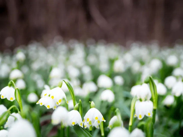 March Writing Prompts