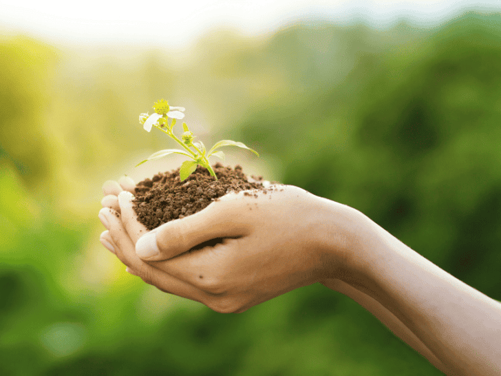 The Environmental Impacts of Our Modern Lifestyle: Exploring the Consequences