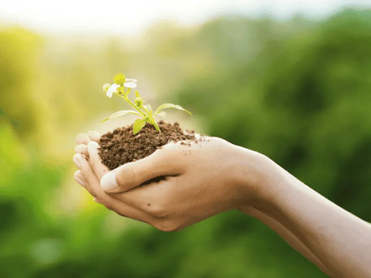 How Does Our Modern Lifestyle Affect The Environment