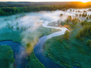 How Ecotourism Attracts Tourists