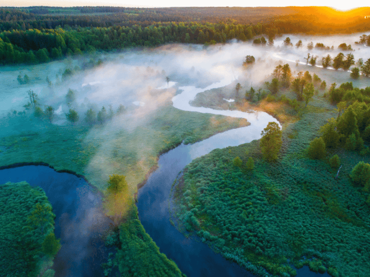 The New Face of Travel: How Ecotourism is Redefining Tourist Attractions and Expectations
