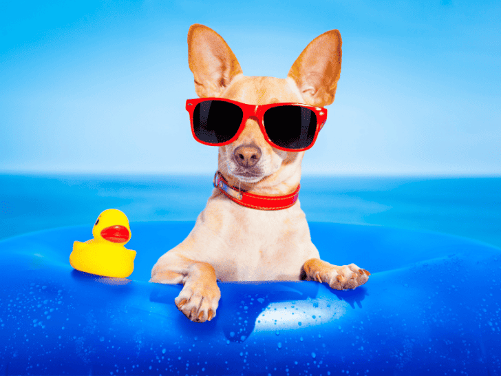 How Long Is Summer Vacation? Exploring the Differences Across the Globe