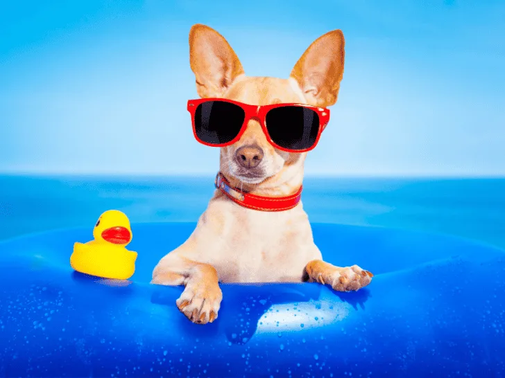 How Long Is Summer Vacation