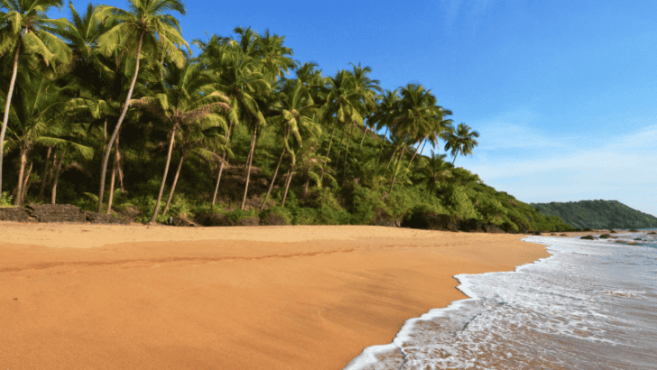 Romantic Getaway: Things To Do In Goa For Honeymoon Couples