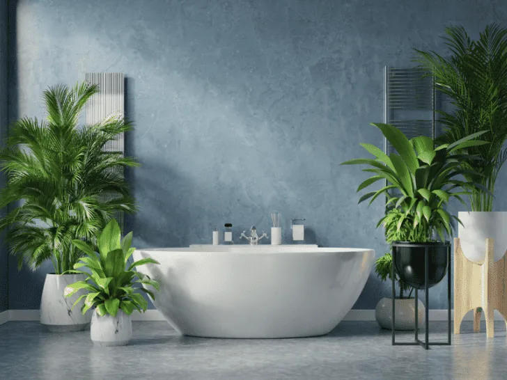 What Type Of Interior Design Do I Like