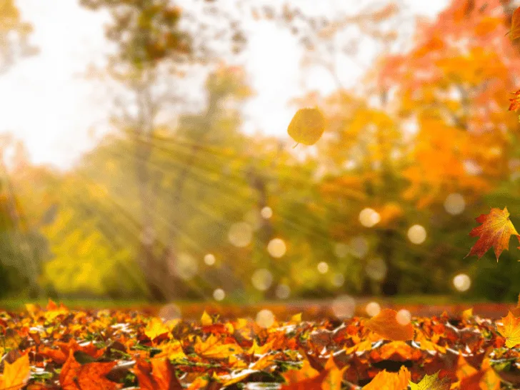 fall writing prompts