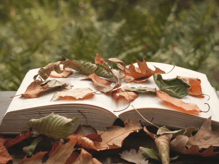 what is storytelling