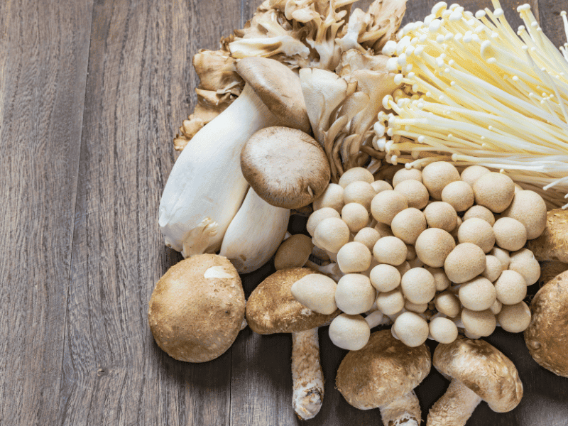 Is Mushroom A Vegetarian Food