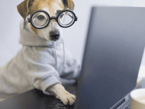 Is The Internet An Invention