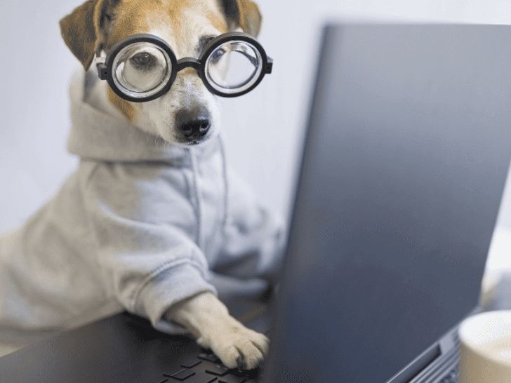 Is The Internet An Invention or an Evolution of Technology?
