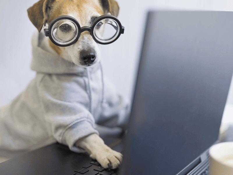 Is The Internet An Invention