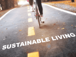 what is sustainable living