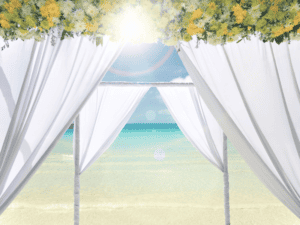 Beach Wedding Ideas