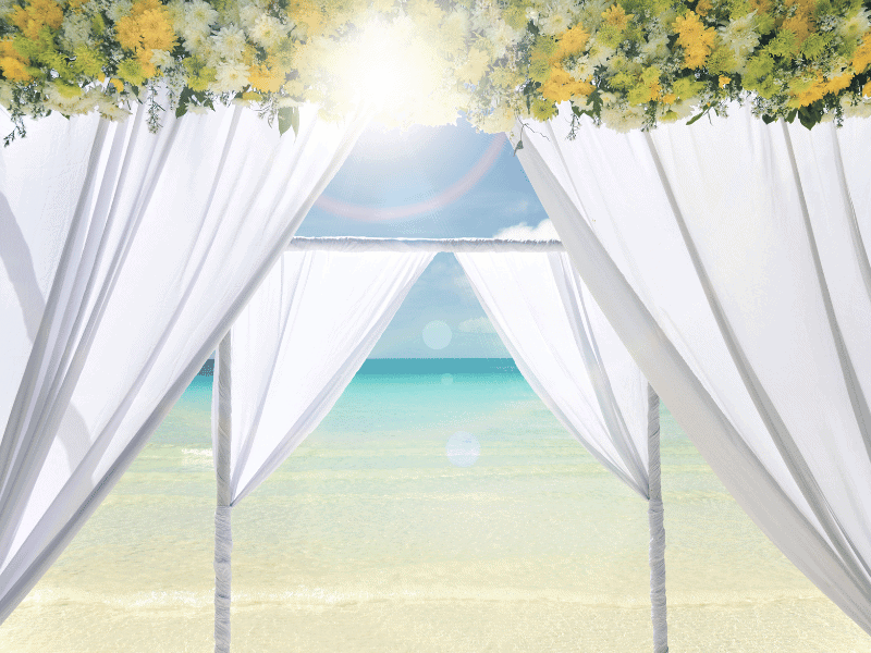 Beach Wedding Ideas