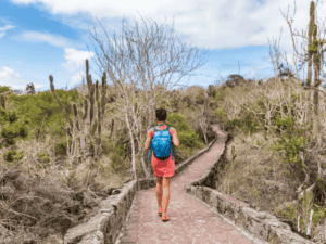 The Power of Collaboration The Importance of Community Participation in Ecotourism Planning