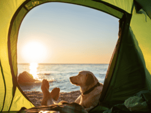 what to bring to a summer camp