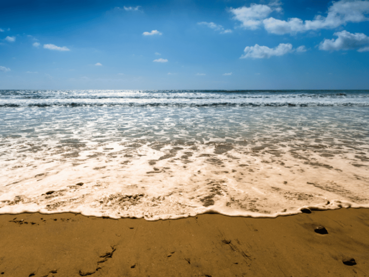 Beverages and Beaches: Can You Have Alcohol On Pacific Beach?