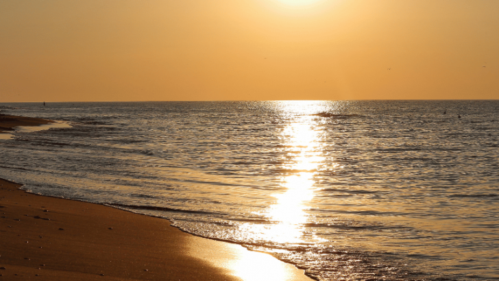 Revealing the Morning Mystery: Does The Sun Rise Over The Pacific Ocean?