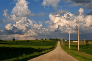 A dirt road in the middle of a field.