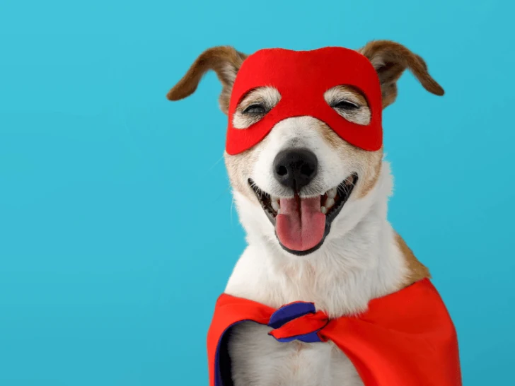 Superhero Story Ideas