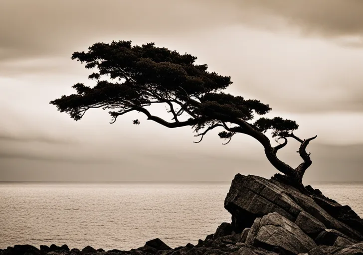 E showing a single, resilient tree on a rocky cliff, standing strong against a backdrop of a stormy sky, symbolizing the endurance and strength of perseverance