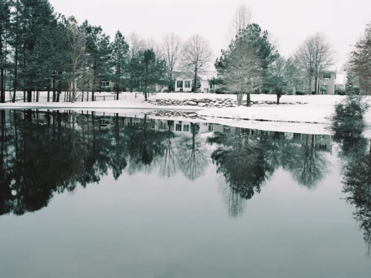 A lake adorned with snow-laden trees.