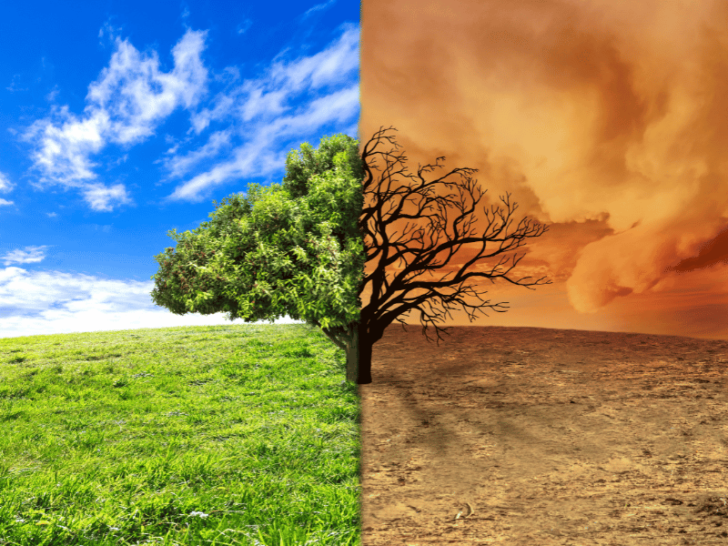 12 Reasons Why Climate Change Is Important: Wake Up Call!