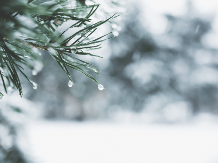 Winter Describing Words: A Comprehensive List for Your Writing Needs