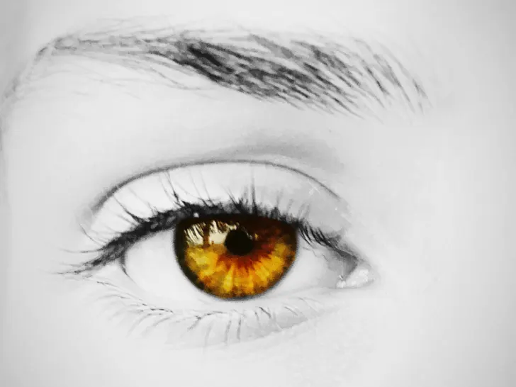 A rare black and white photo of a woman's amber-colored eye.