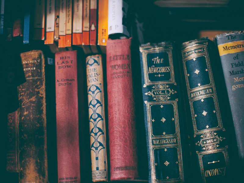A row of books on a shelf, each with a powerful premise.
